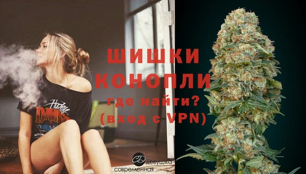 бошки Краснослободск